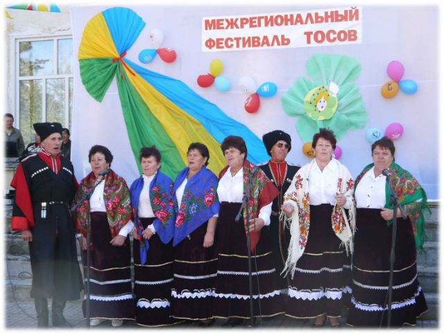 Межрегиональный фестиваль ТОСов в Новопавловском сельском поселении 2014 года