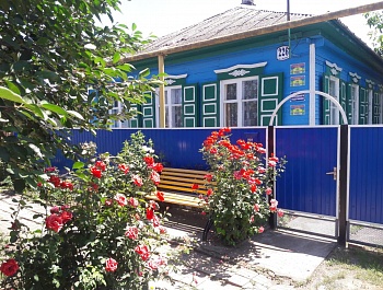 Цветы на приусадебном участке Столба Веры Егоровны