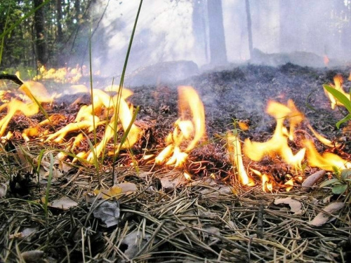 Предупреждение по чрезвычайной пожароопасности 5 класса на территории Краснодарского края