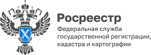 Росреестр проведет Всероссийскую неделю консультаций ко Дню защиты детей