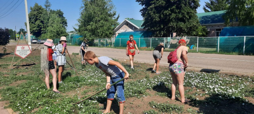 Прополка клумб на аллее Братьев Постельных