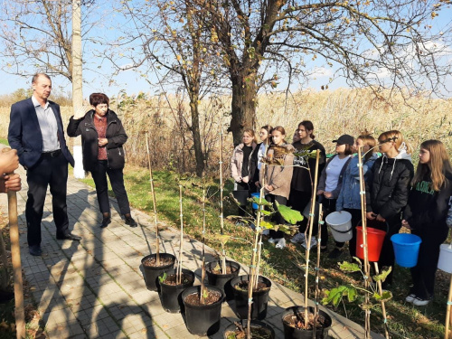 Реализация экологического проекта ЭкоДобро