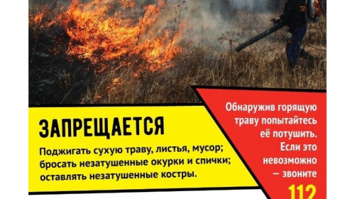 Не жгите листву сухая трава у дома может стать огнем