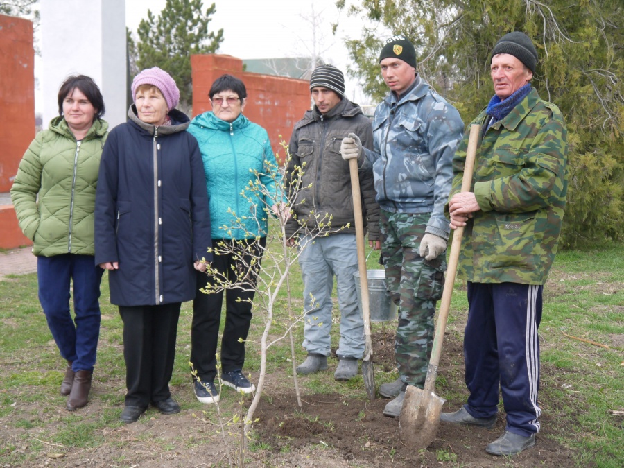 Сирень в память о погибших