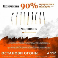 ОГОНЬ, КОТОРЫЙ СЖИГАЕТ БУДУЩЕЕ: КАК ЧЕЛОВЕК ПРЕВРАЩАЕТ ПРИРОДУ В ПЕПЕЛ