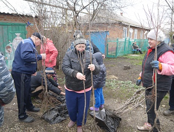 Участие в акции  "Сдай макулатуру - сохрани дерево"
