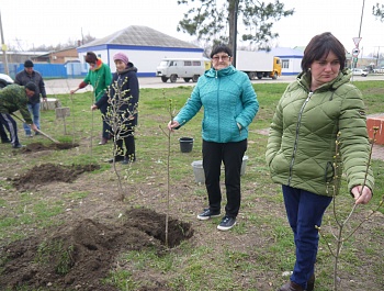 Сирень в память о погибших