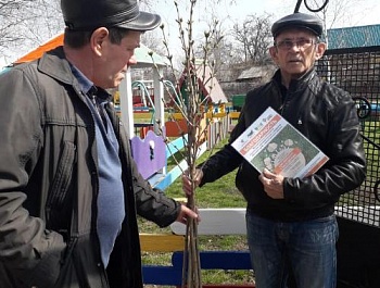 Участие в акции  "Сдай макулатуру - сохрани дерево"
